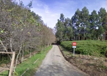 Paseo da Lagoa
